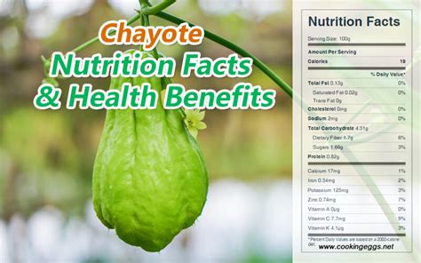 chayurnate|Chayote: Health Benefits, Nutrients per Serving, Uses, Serving.